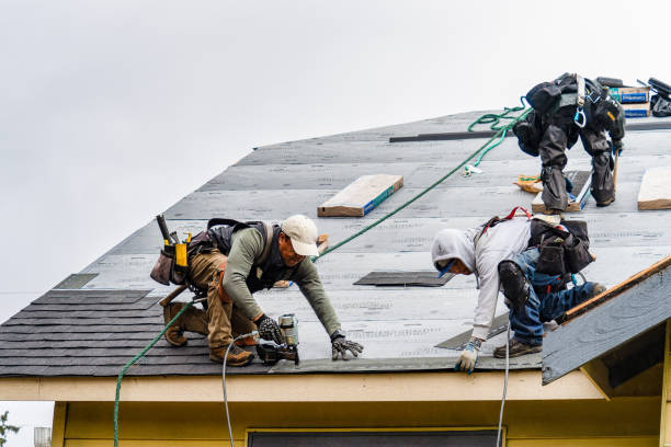 Professional Flat Roof Repair technician working in Stevensville, MI